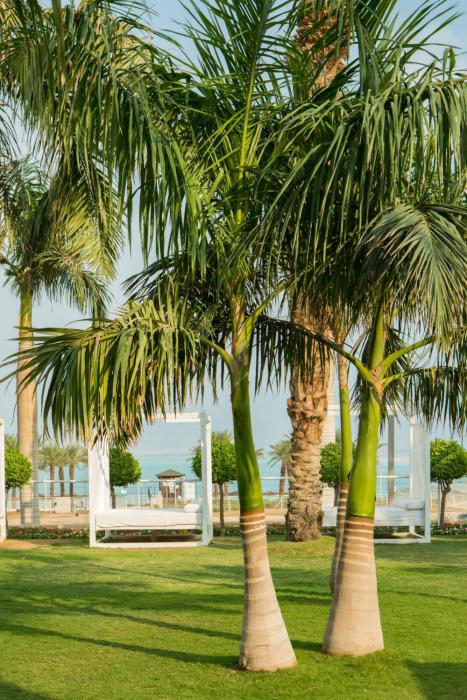 nevo by isrotel collection