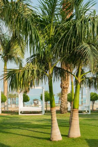 nevo by isrotel collection