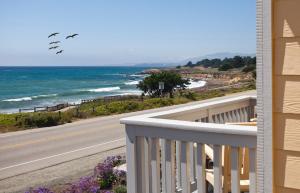 pelican inn and suites