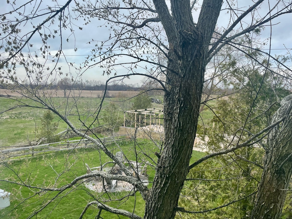 jacksons falls country inn