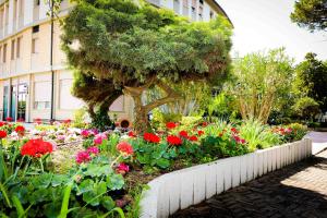 hotel cristallo