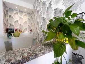 hotel rossovino como