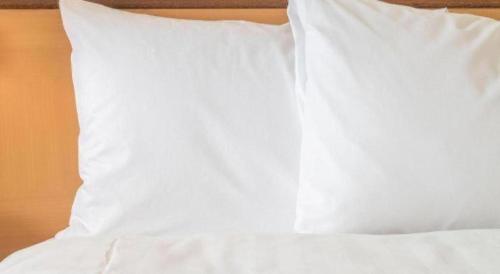 holiday inn express hotel and suites camden by ihg
