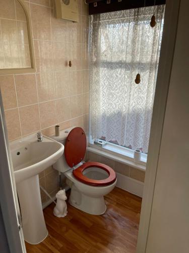 belvedere guest house great yarmouth