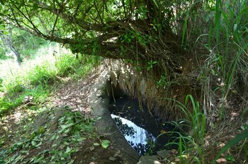 deer point hotel kandy