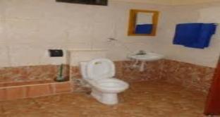 jambo paradise hotel