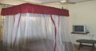 jambo paradise hotel