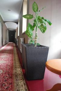 bishkek