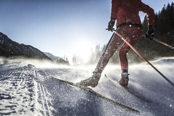 adler suite and stube