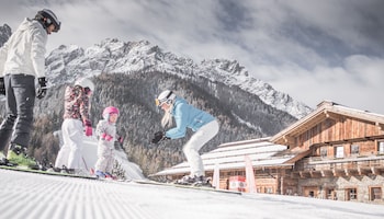 adler suite and stube