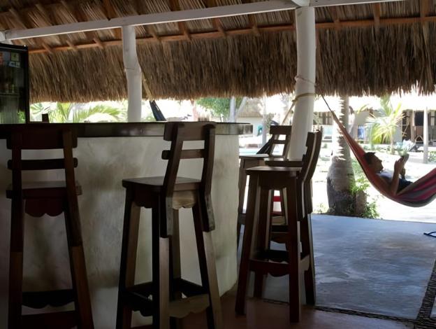 dreamer palomino
