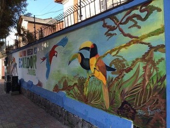 hostal volunteer house