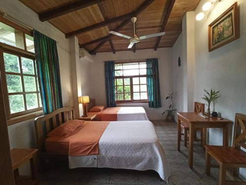 Banana Lodge,Puerto Misahuallí>>Misahualli,3 star