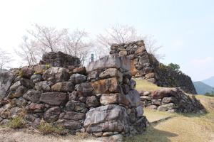 iruka onsen hotel seiryuusou