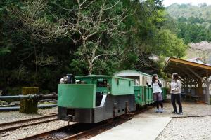 iruka onsen hotel seiryuusou
