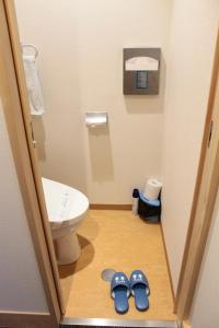 iruka onsen hotel seiryuusou