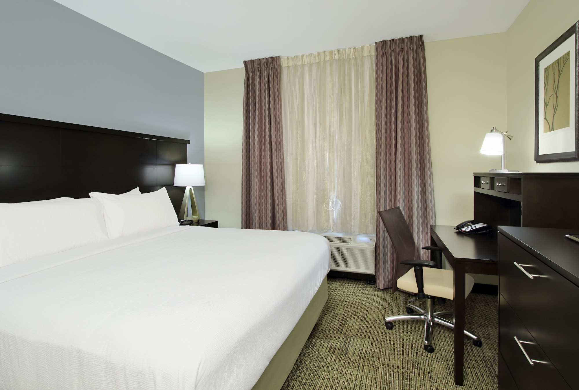 staybridge suites houston medical center by ihg
