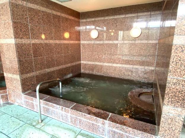 hotel de marronnier utsumi onsen