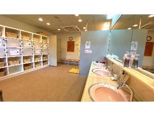hotel de marronnier utsumi onsen