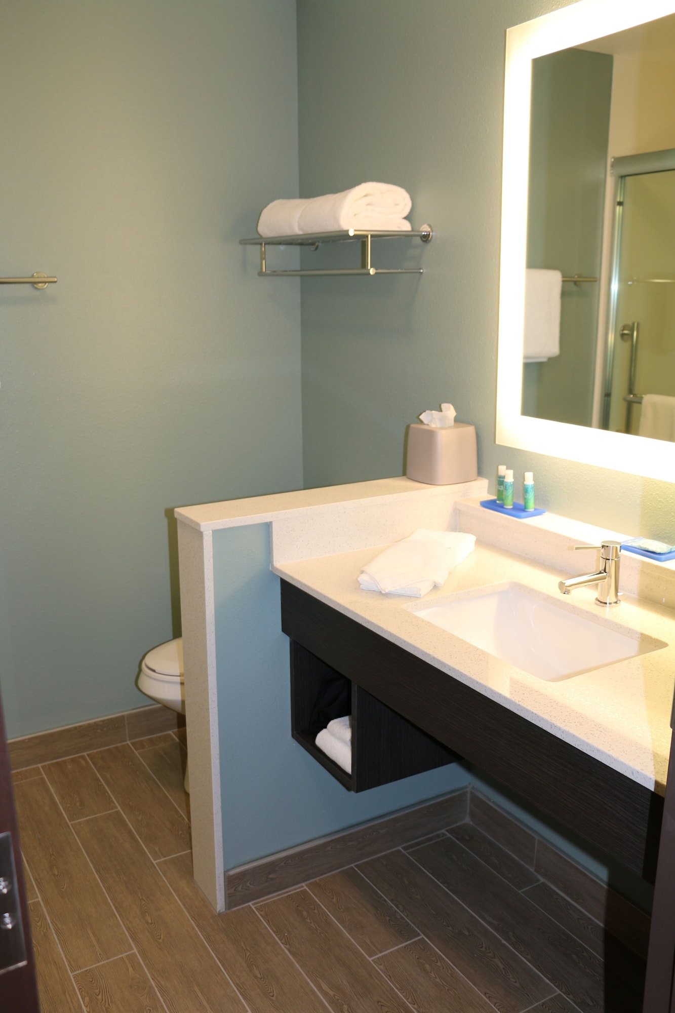 holiday inn express and suites hendersonville se f