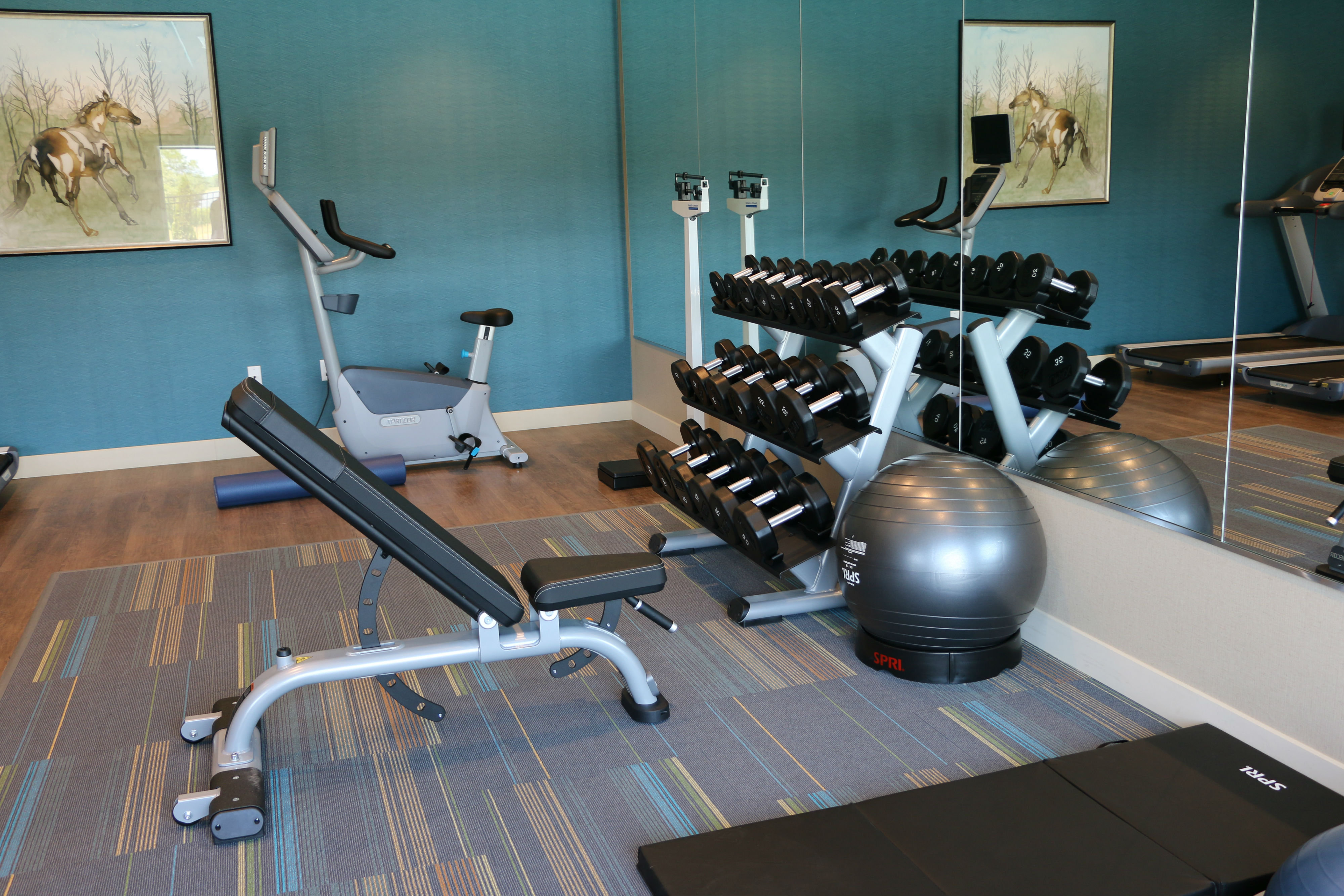 holiday inn express and suites hendersonville se f
