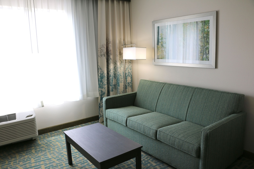 holiday inn express and suites hendersonville se f