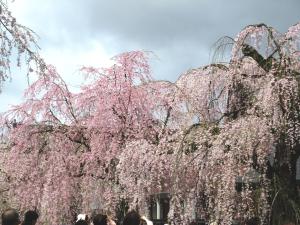 hotel folkloro kakunodate