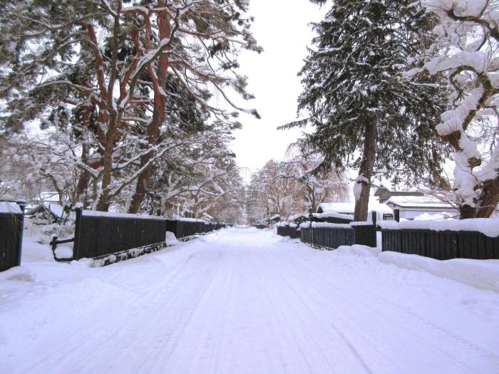 hotel folkloro kakunodate