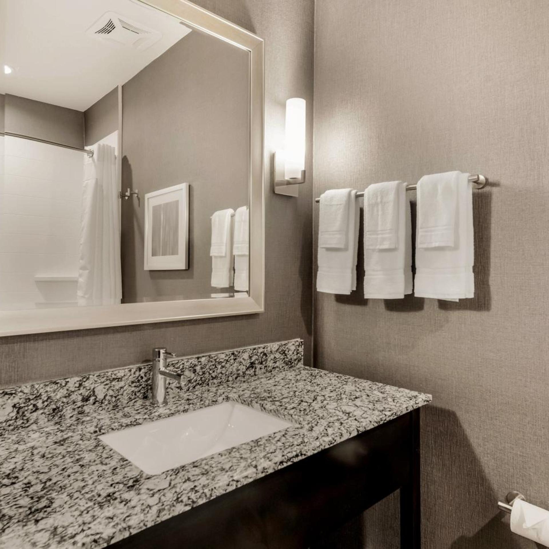 holiday inn hotel and suites silicon valley milp