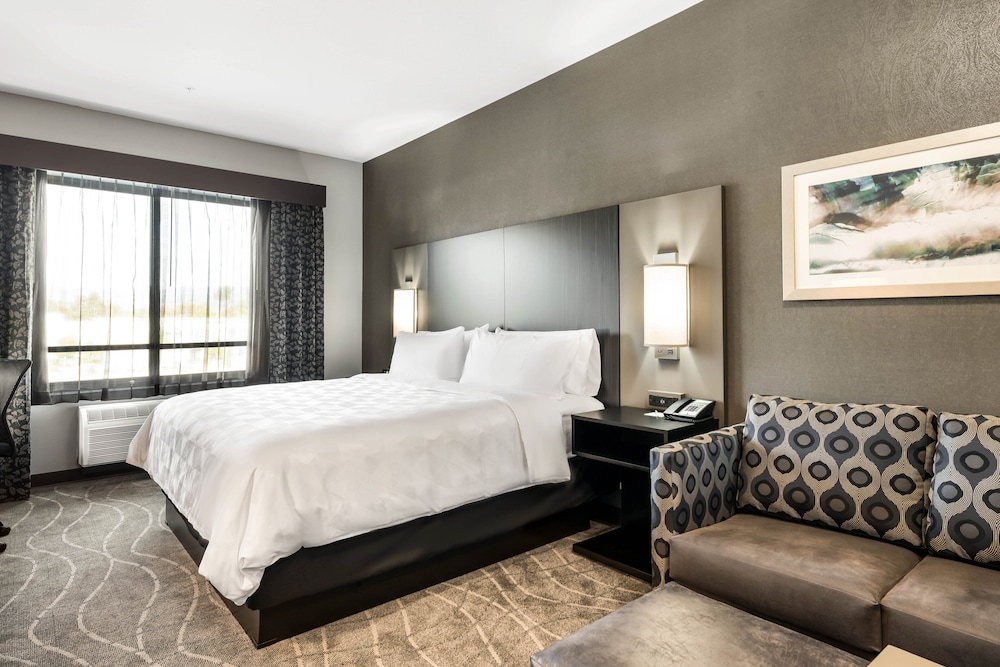 holiday inn hotel and suites silicon valley milp