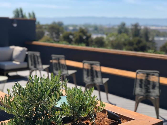 holiday inn hotel and suites silicon valley milp