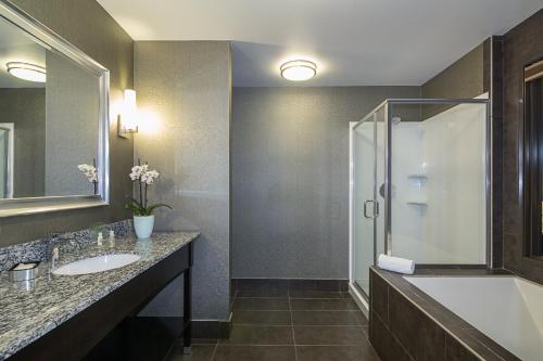 holiday inn hotel and suites silicon valley milp