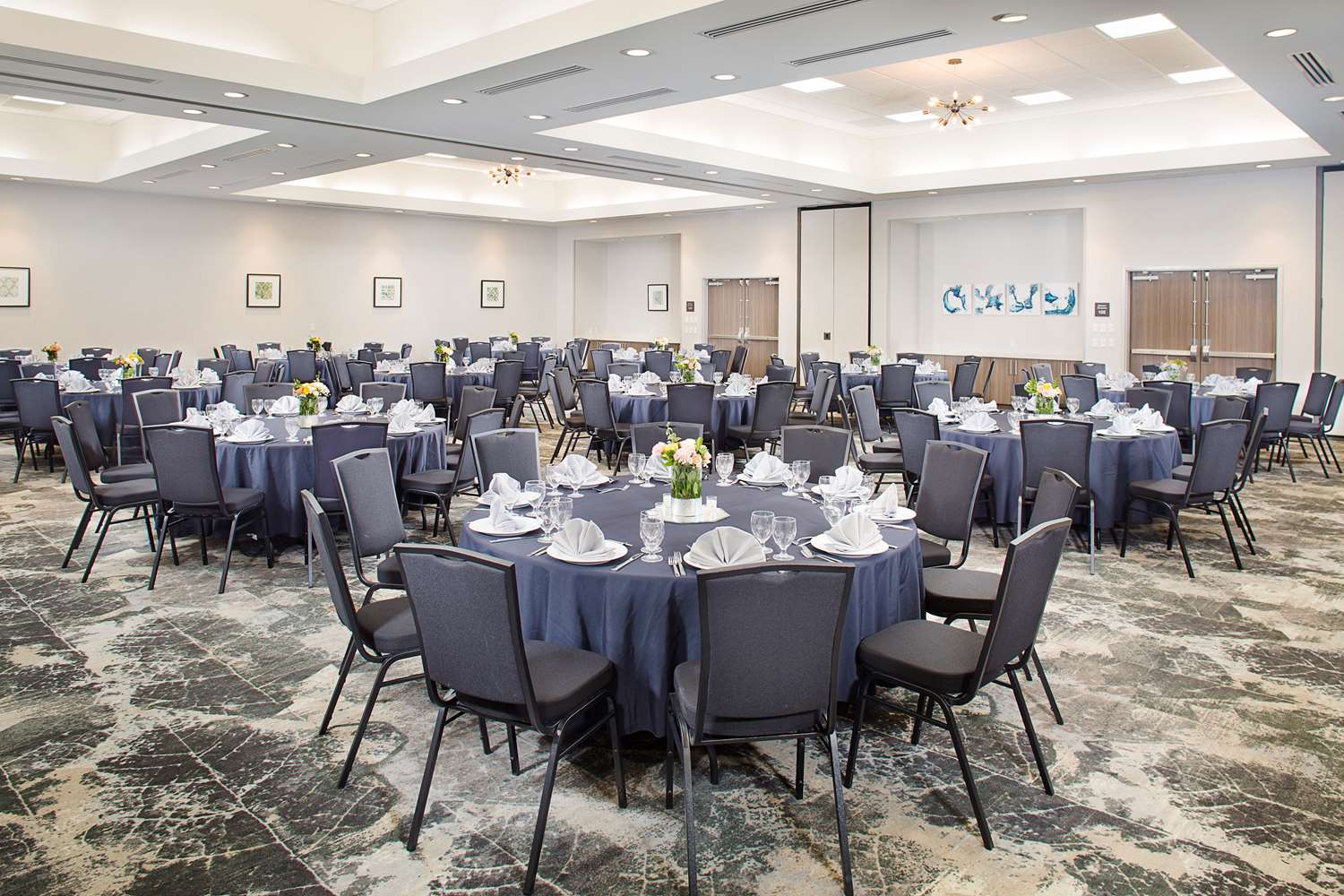 hilton garden inn dallas arlington south