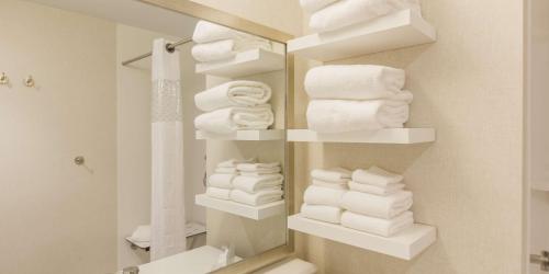 hampton inn and suites charlotte ballantyne