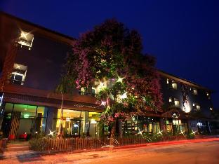 the corner hotel adults only