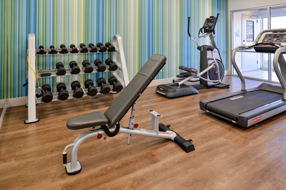 holiday inn express and suites southgate detroit