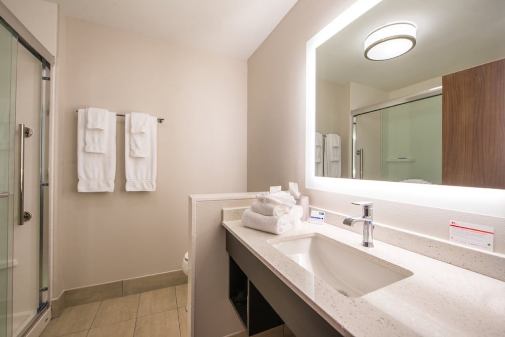 holiday inn express and suites tampa north wesley chapel