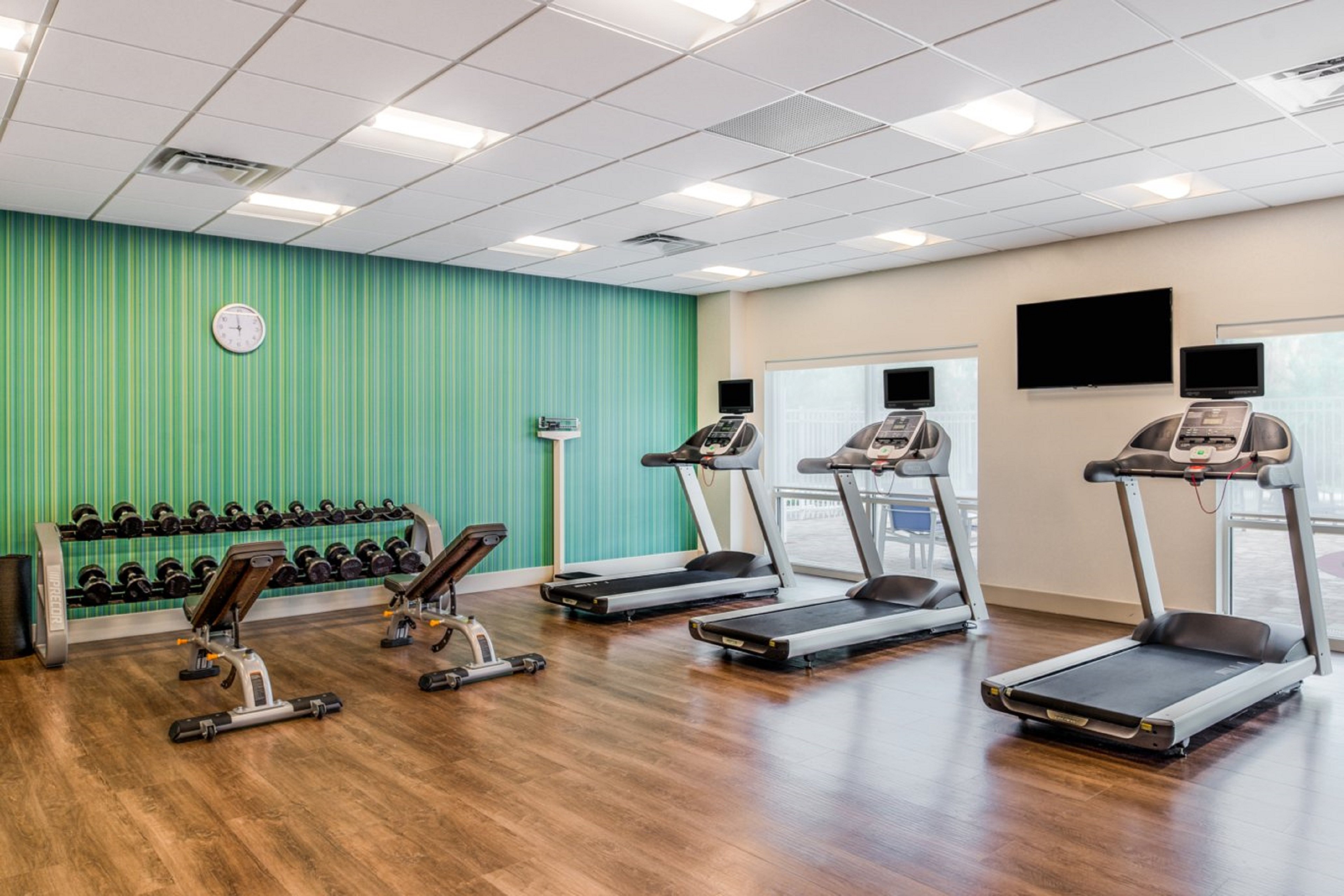 holiday inn express and suites tampa north wesley chapel