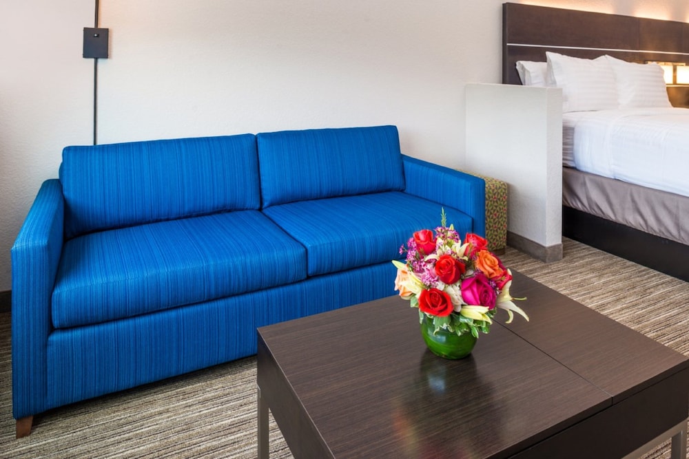 holiday inn express and suites tampa north wesley chapel