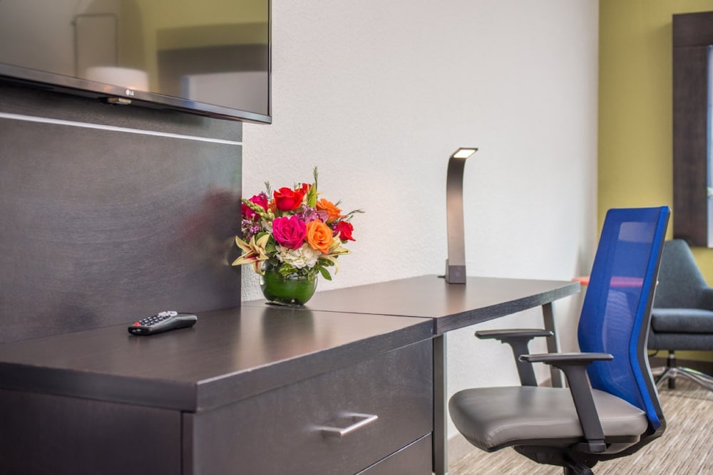 holiday inn express and suites tampa north wesley chapel