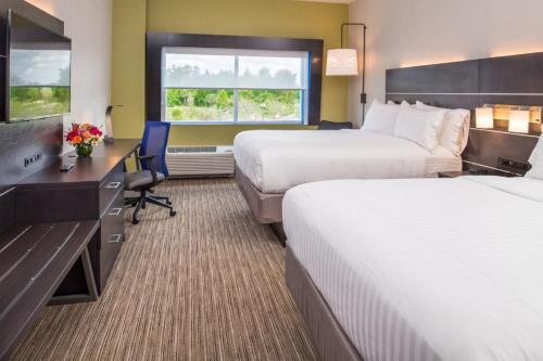 holiday inn express and suites tampa north wesley chapel