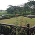 calabar