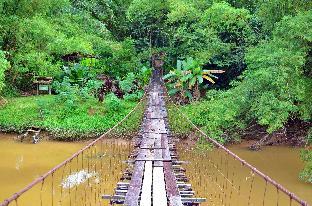 hotel dnew 1 kk sabah