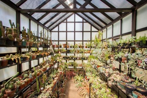 fortin de las flores