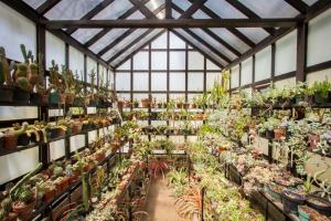 fortin de las flores