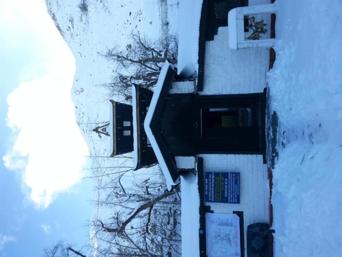 hotel grand shambala