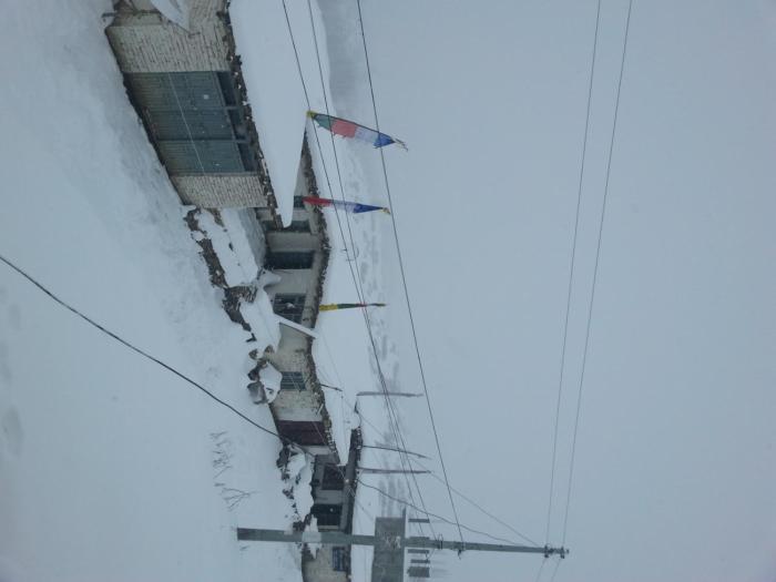 hotel grand shambala