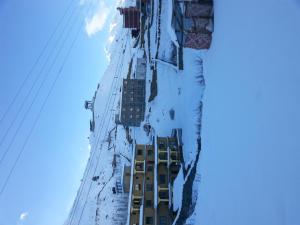 hotel grand shambala