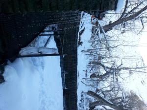 hotel grand shambala