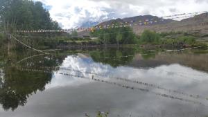 hotel grand shambala